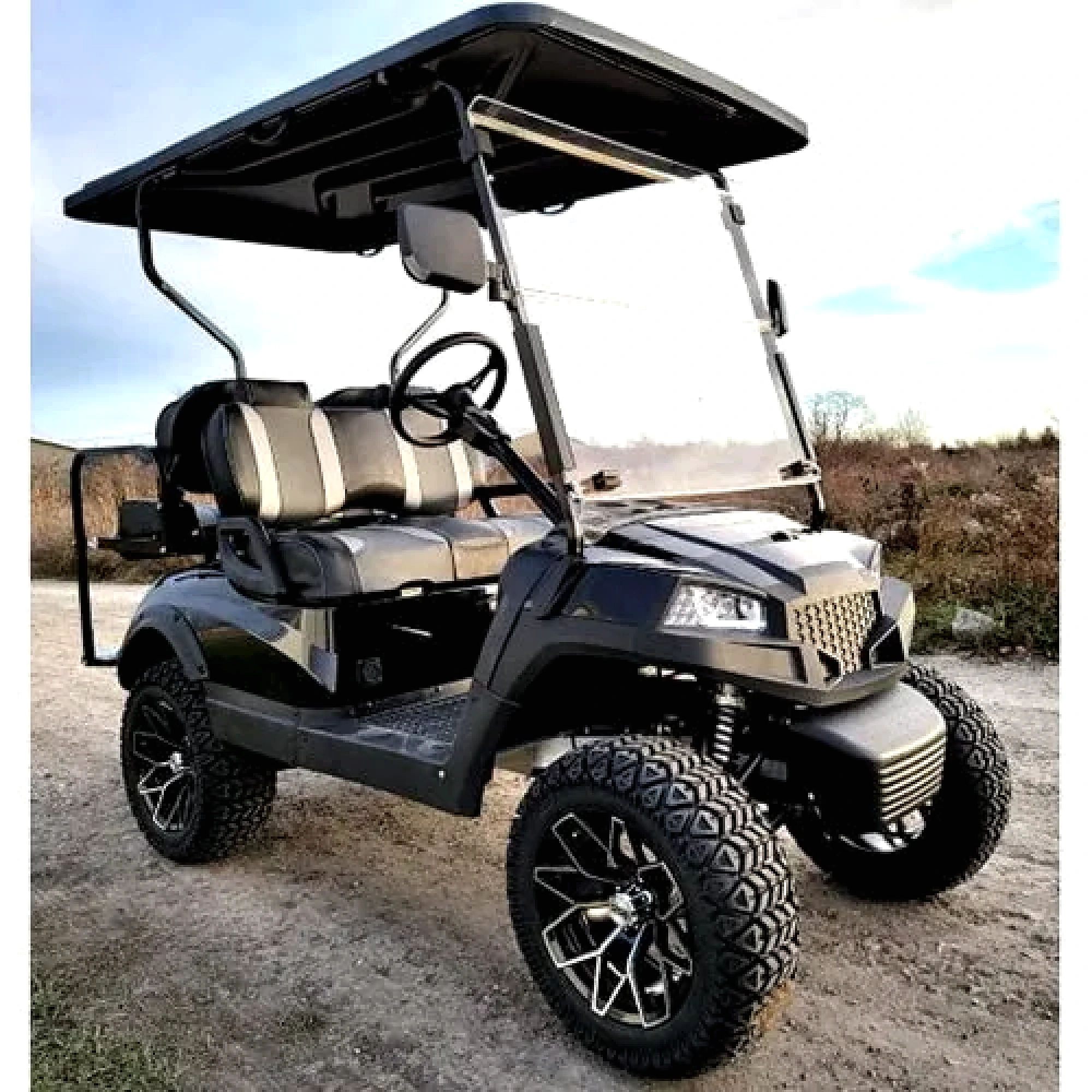 Terminator 48V Electric Golf Cart – Four Seater with Flip Seat and Custom Rims, Black